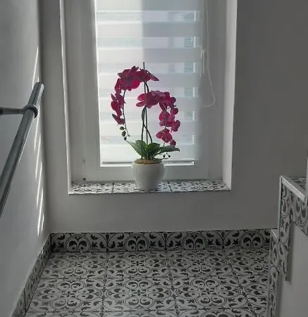 Gościnne Galeon W Darłówku Pensjonat