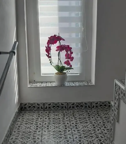 Goscinne Galeon W Darlowku 게스트하우스