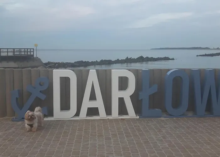 Goscinne Galeon W Darlowku 게스트하우스 3*