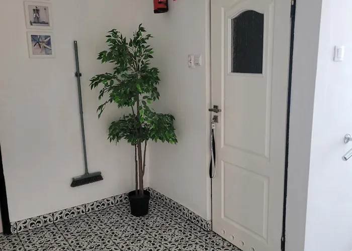 Goscinne Galeon W Darlowku 게스트하우스 3*